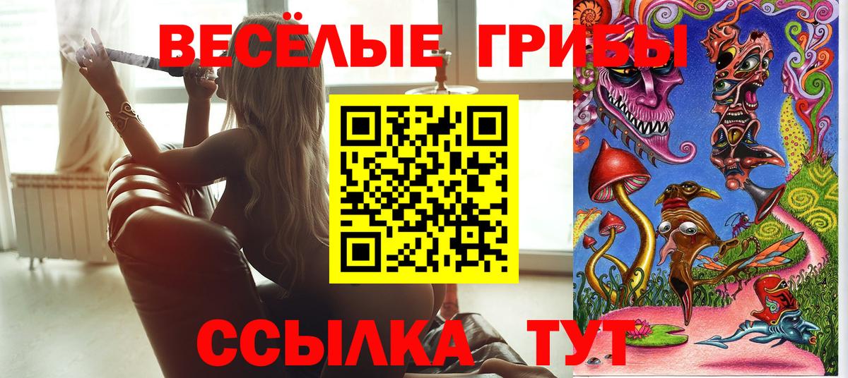 Псилоцибиновые грибы Psilocybine cubensis Красный Сулин